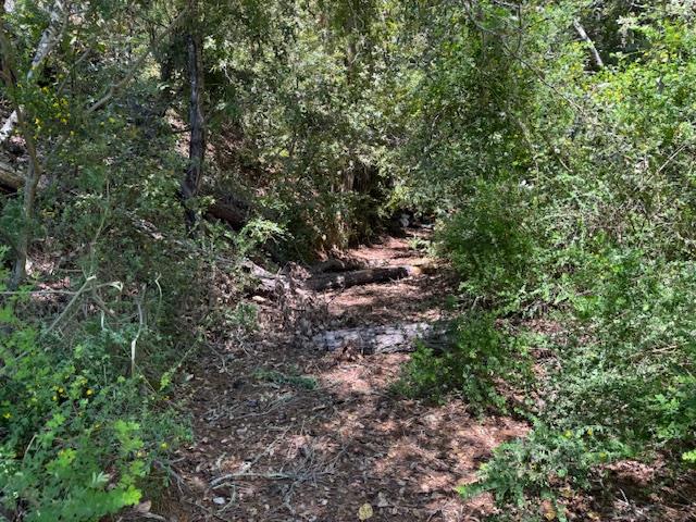Detail Gallery Image 14 of 15 For 980 Middleton Dr, Boulder Creek,  CA 95006 - – Beds | – Baths