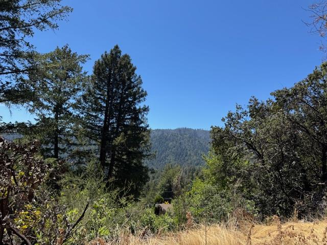 Detail Gallery Image 15 of 15 For 980 Middleton Dr, Boulder Creek,  CA 95006 - – Beds | – Baths
