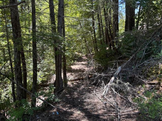 Detail Gallery Image 7 of 15 For 980 Middleton Dr, Boulder Creek,  CA 95006 - – Beds | – Baths