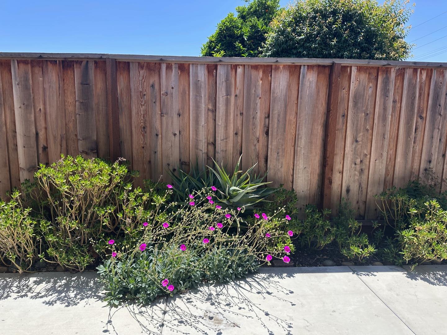 Detail Gallery Image 33 of 39 For 1506-1508 Kentfield Ave, Redwood City,  CA 94061 - 4 Beds | 3 Baths