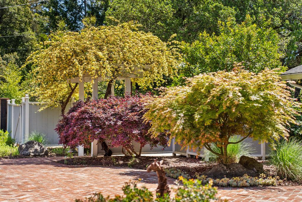 Detail Gallery Image 10 of 44 For 614 Graham Hill Rd, Santa Cruz,  CA 95060 - 3 Beds | 3 Baths