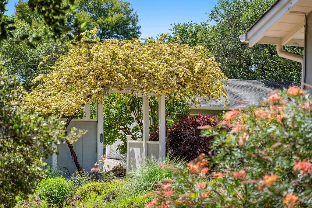 Detail Gallery Image 11 of 44 For 614 Graham Hill Rd, Santa Cruz,  CA 95060 - 3 Beds | 3 Baths