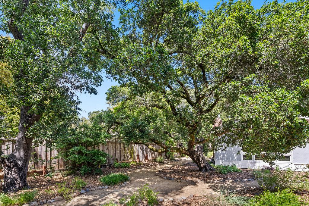 Detail Gallery Image 42 of 44 For 614 Graham Hill Rd, Santa Cruz,  CA 95060 - 3 Beds | 3 Baths