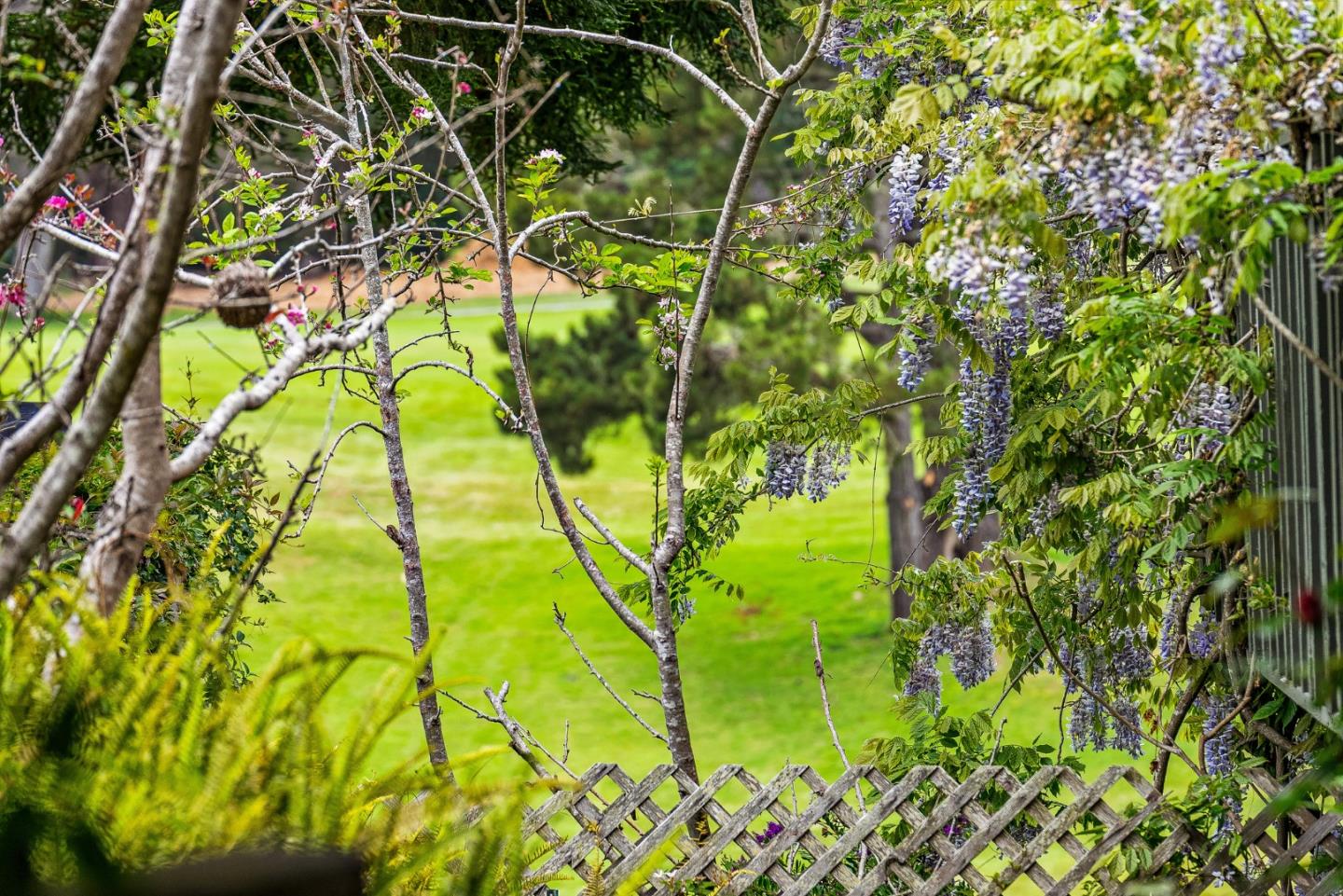 Detail Gallery Image 16 of 46 For 503 Saint Andrews Dr, Aptos,  CA 95003 - 3 Beds | 2 Baths