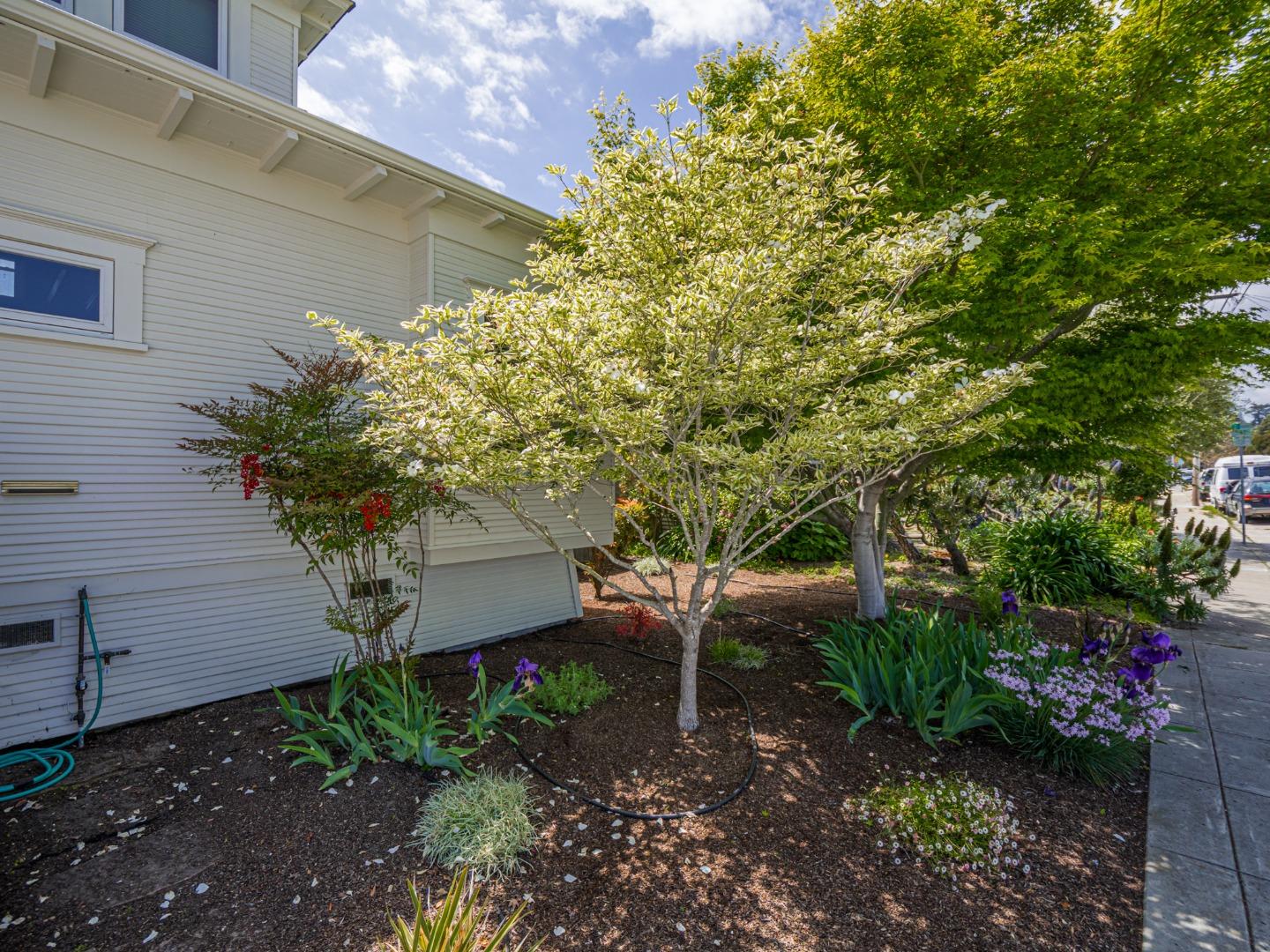 Detail Gallery Image 66 of 67 For 215 Trescony St, Santa Cruz,  CA 95060 - 6 Beds | 3 Baths