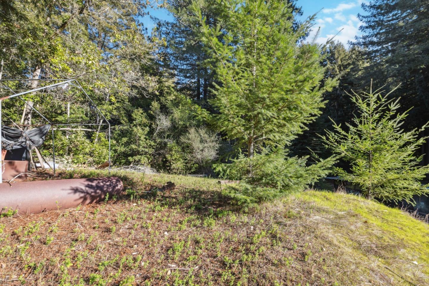 Detail Gallery Image 49 of 71 For 1931 Gold Gulch Rd, Felton,  CA 95018 - 3 Beds | 3 Baths