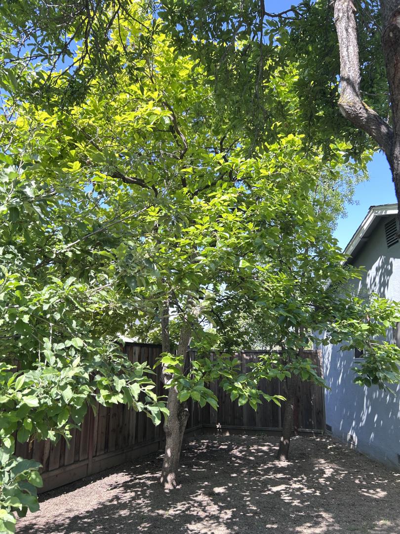 Detail Gallery Image 39 of 42 For 1756 Valhalla Ct, San Jose,  CA 95132 - 3 Beds | 2 Baths