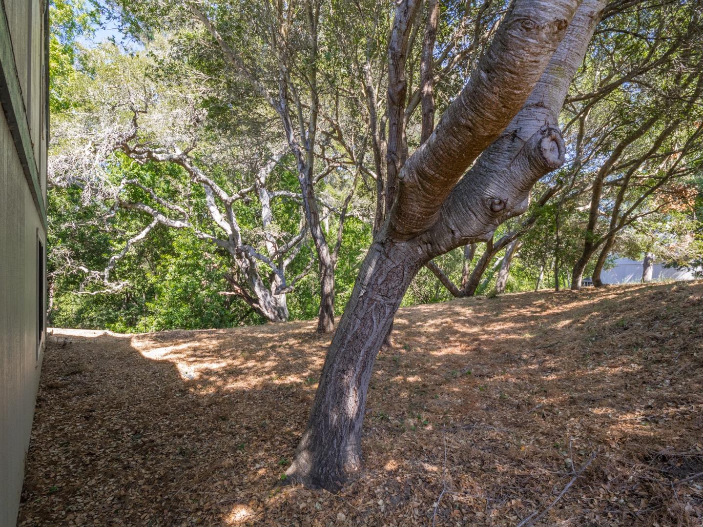 Detail Gallery Image 35 of 39 For 3410 Kenilworth Ln, Santa Cruz,  CA 95065 - 2 Beds | 2/1 Baths