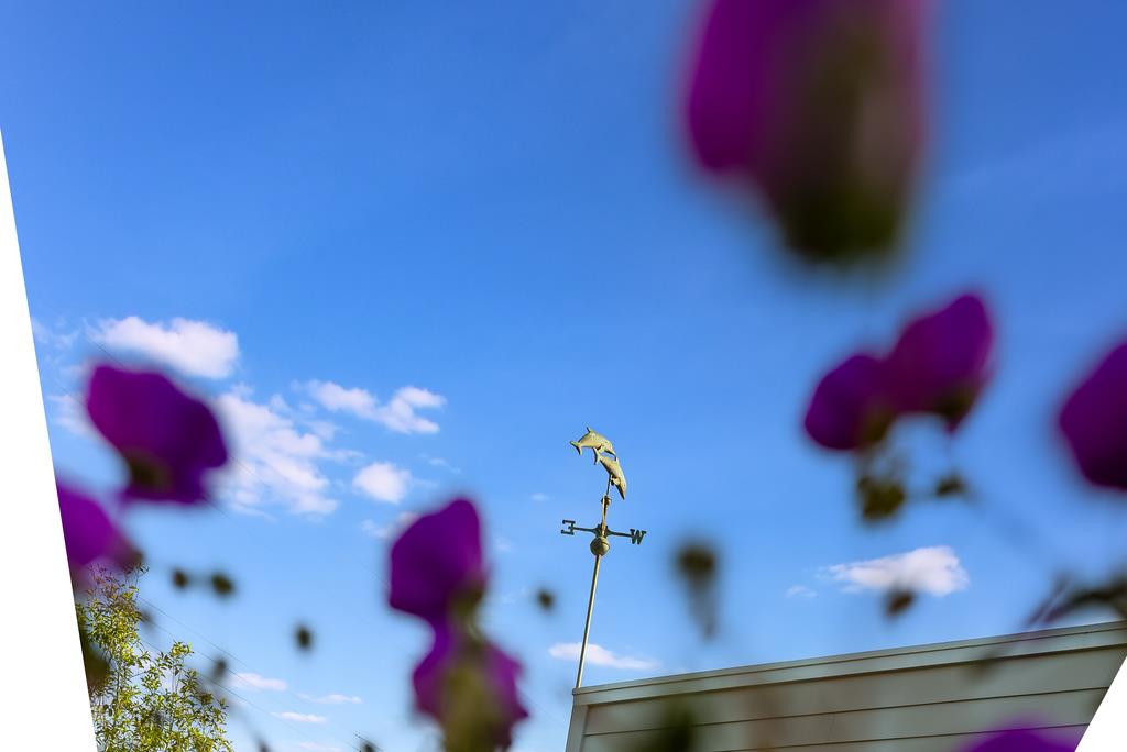 Detail Gallery Image 48 of 59 For 2360 Melanie Pl, Santa Cruz,  CA 95062 - 3 Beds | 2 Baths
