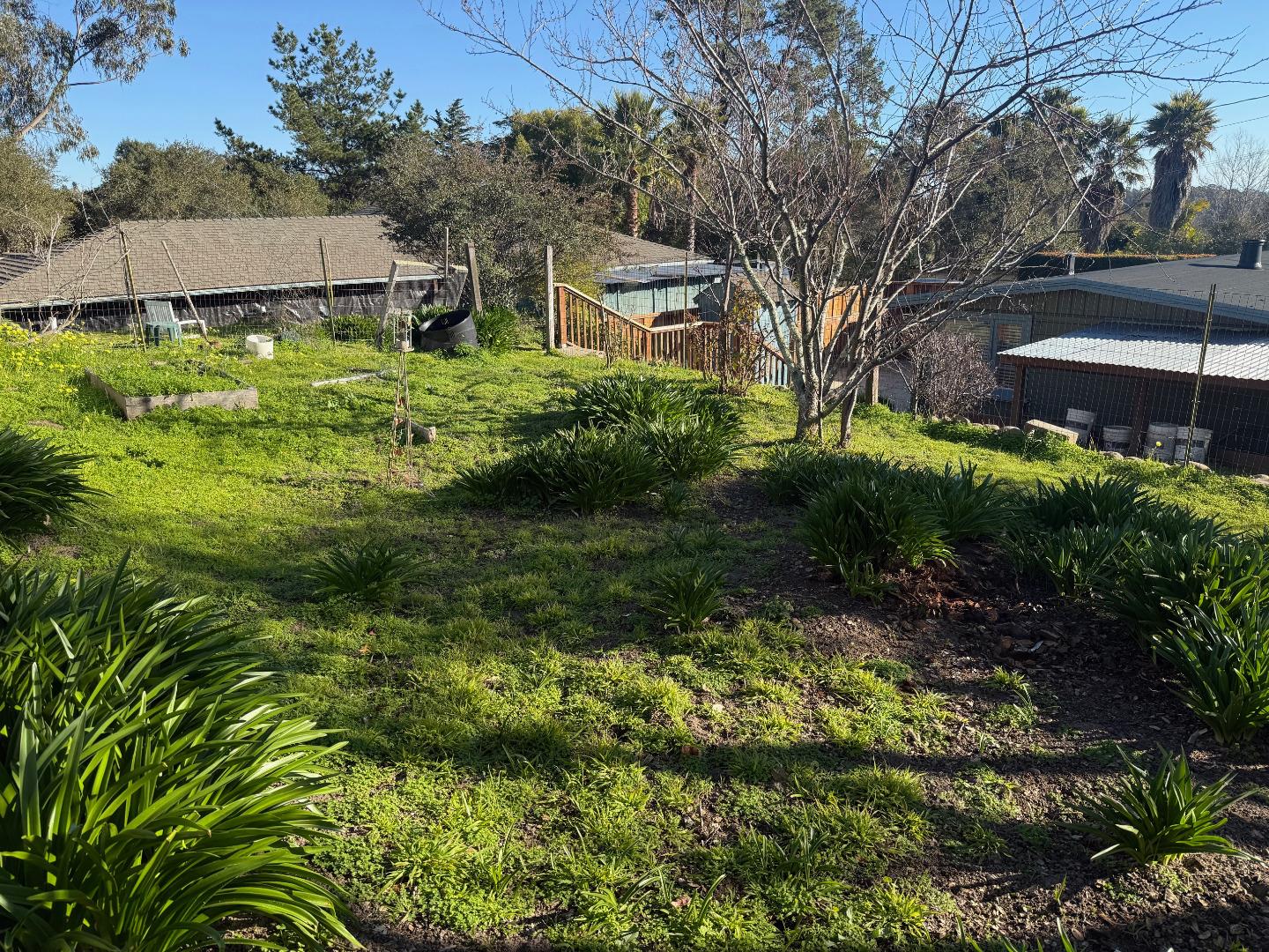Detail Gallery Image 8 of 15 For 3460 Maplethorpe Ln, Soquel,  CA 95073 - – Beds | – Baths