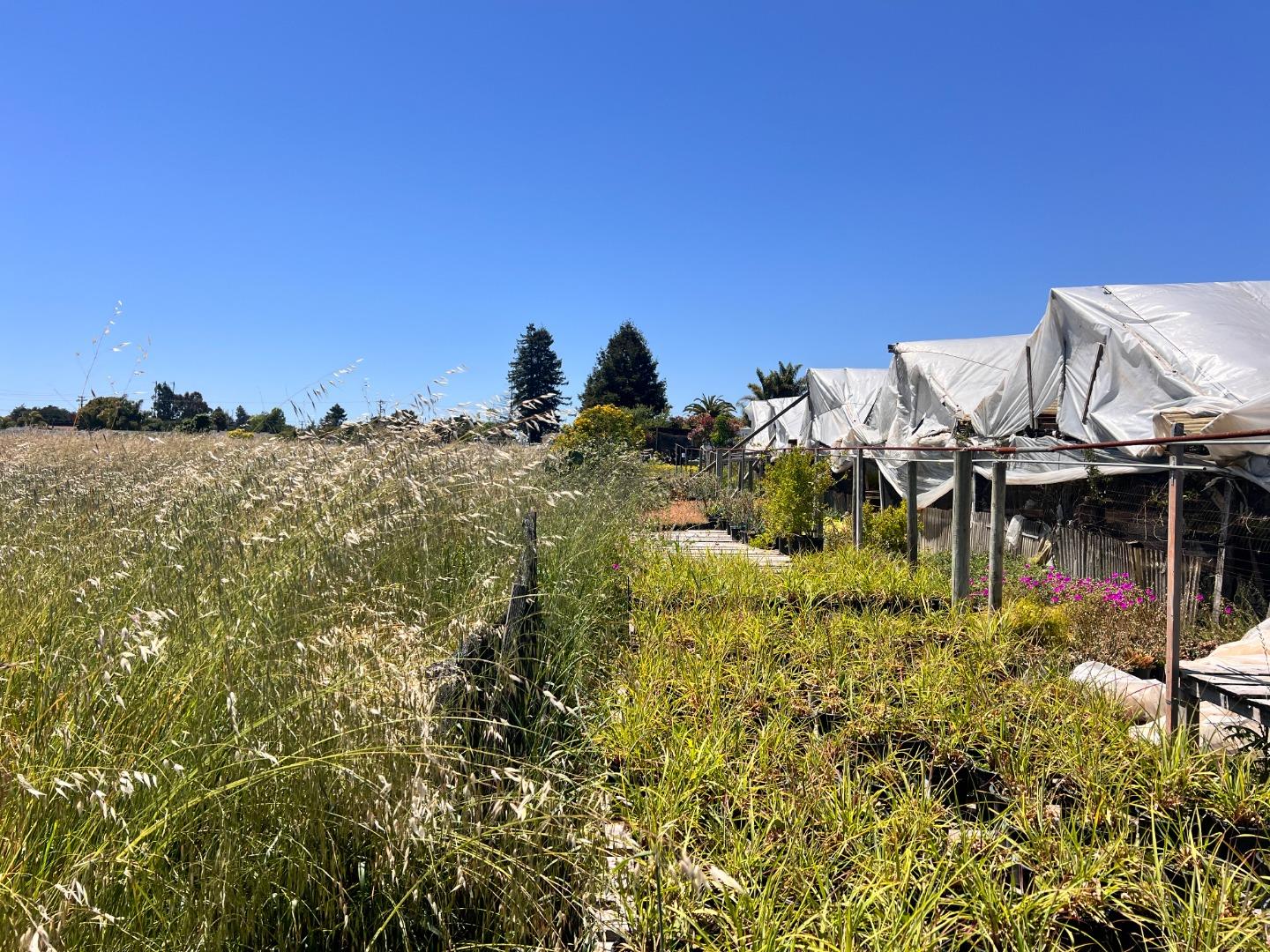 Detail Gallery Image 2 of 5 For 30 Paulsen Rd, Watsonville,  CA 95076 - – Beds | – Baths
