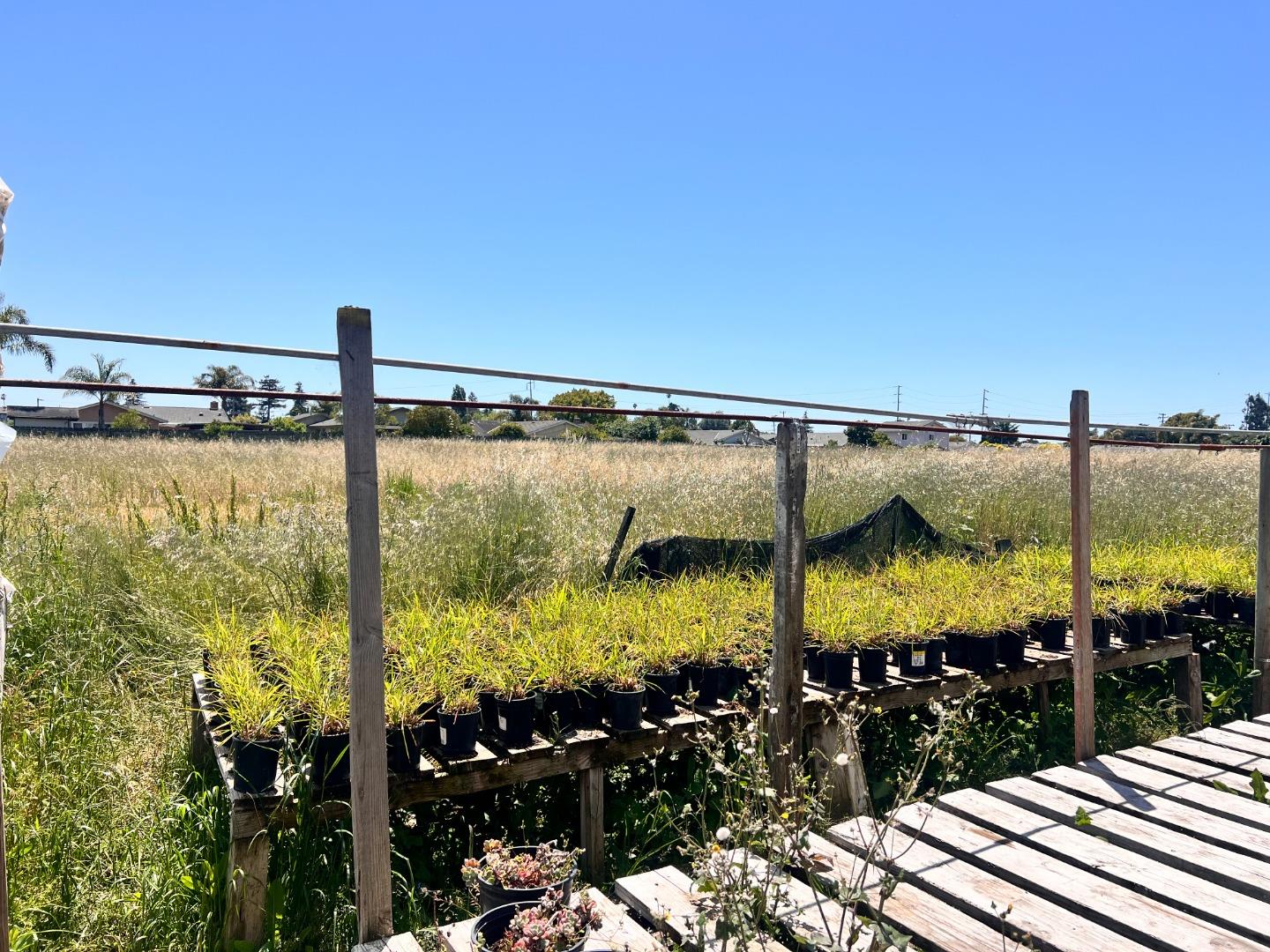 Detail Gallery Image 3 of 5 For 30 Paulsen Rd, Watsonville,  CA 95076 - – Beds | – Baths