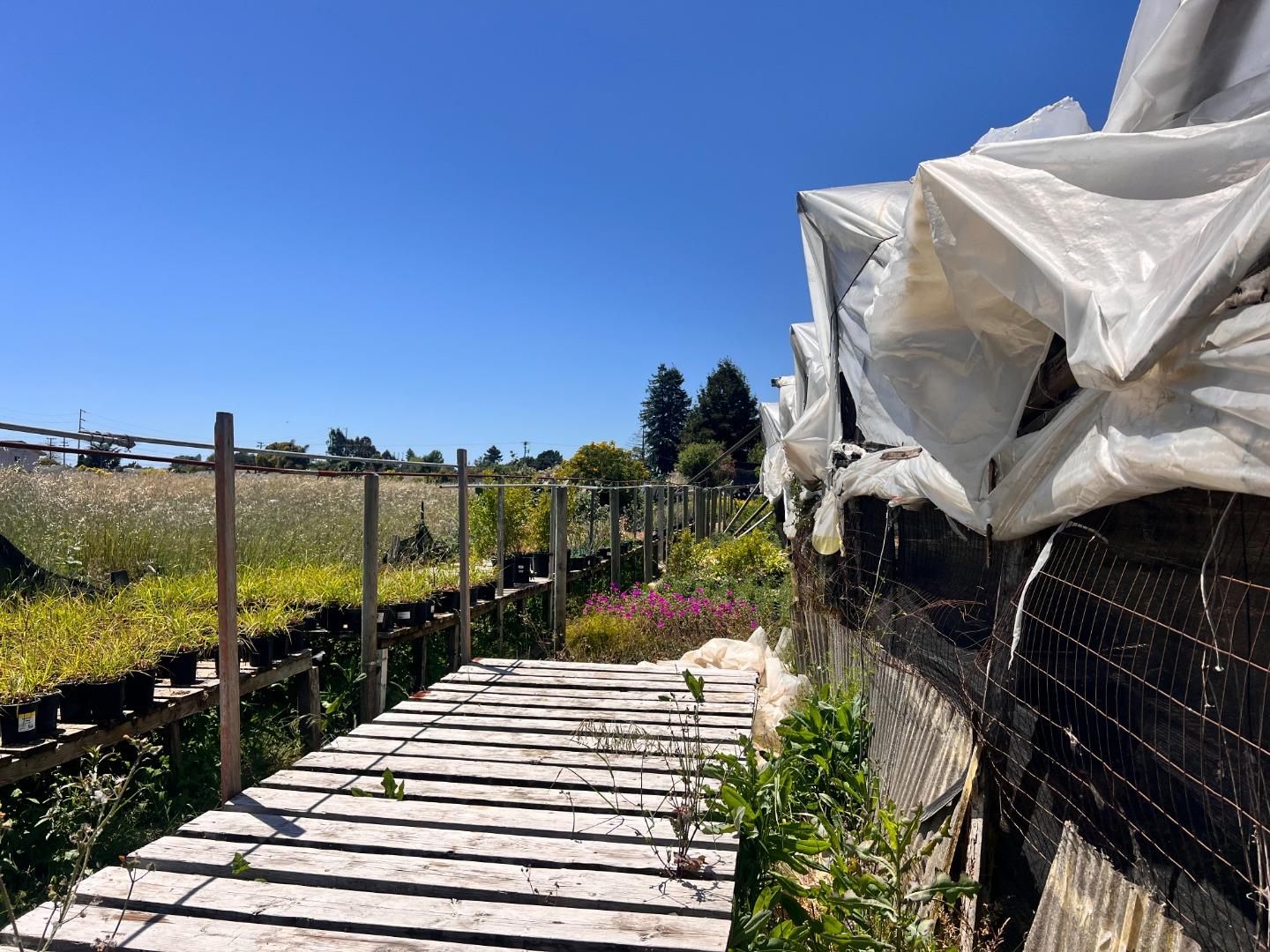 Detail Gallery Image 4 of 5 For 30 Paulsen Rd, Watsonville,  CA 95076 - – Beds | – Baths