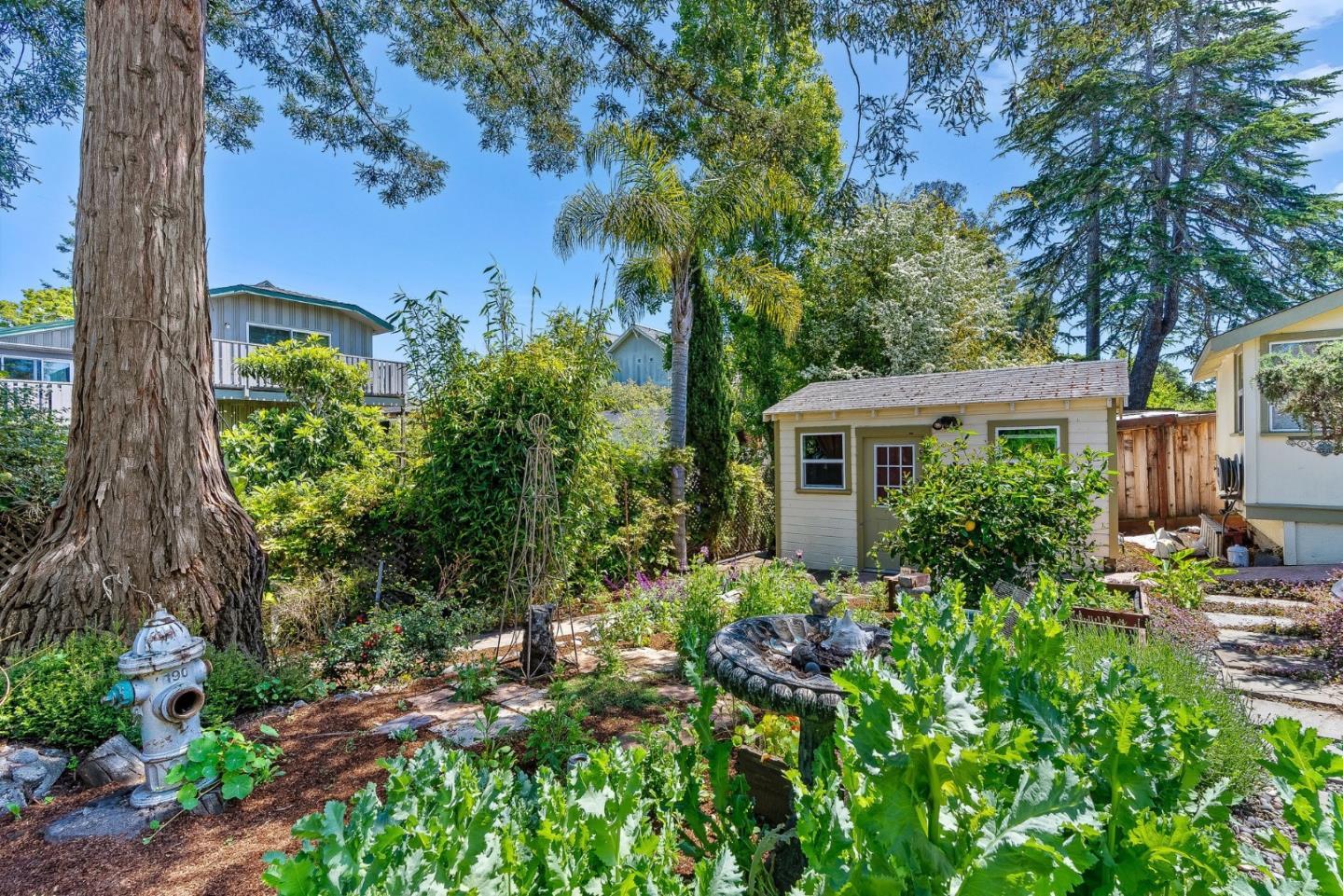 Detail Gallery Image 37 of 47 For 150 Darwin St, Santa Cruz,  CA 95062 - – Beds | – Baths