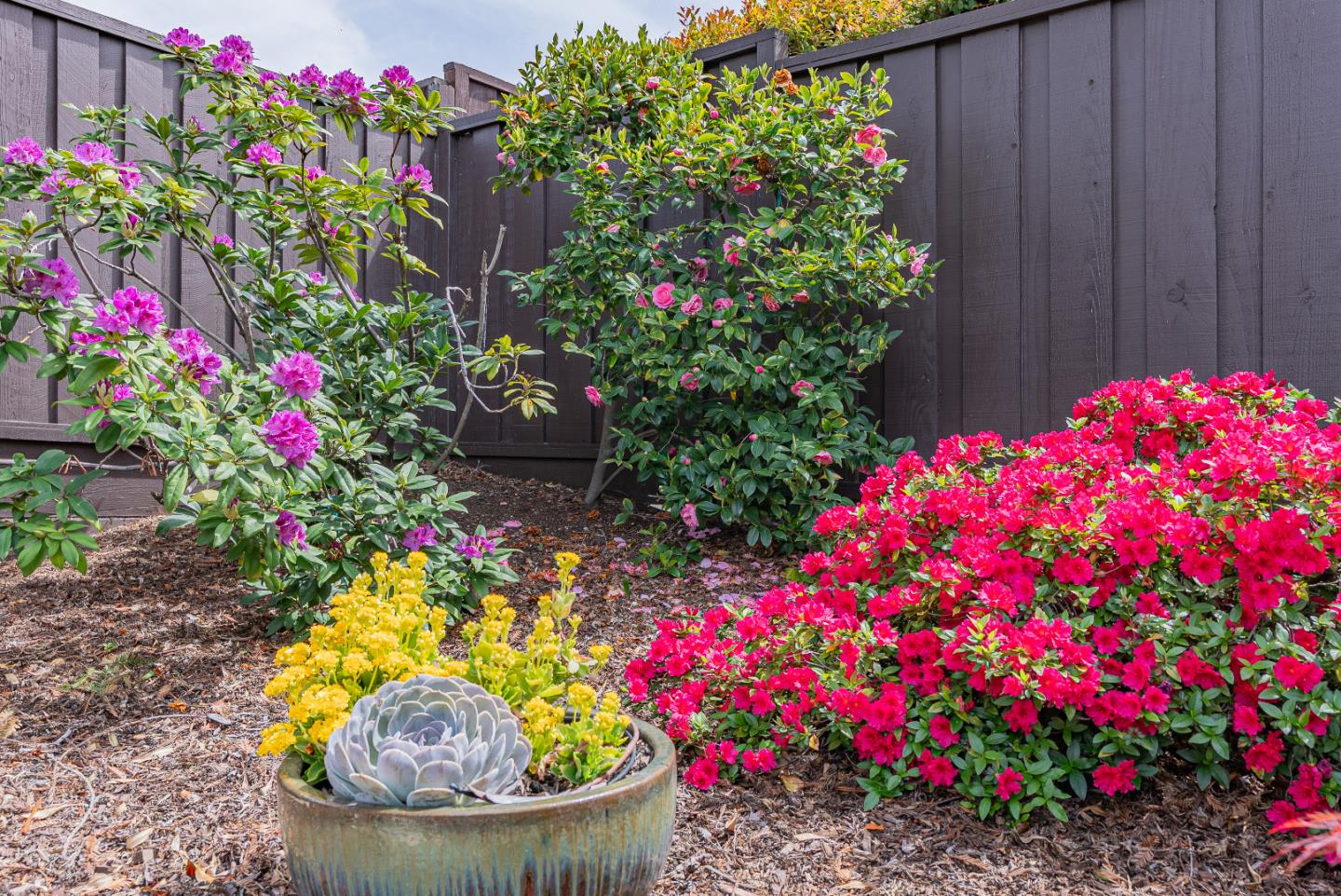 Detail Gallery Image 55 of 58 For 814 Beaverton Ct, Sunnyvale,  CA 94087 - 4 Beds | 2 Baths