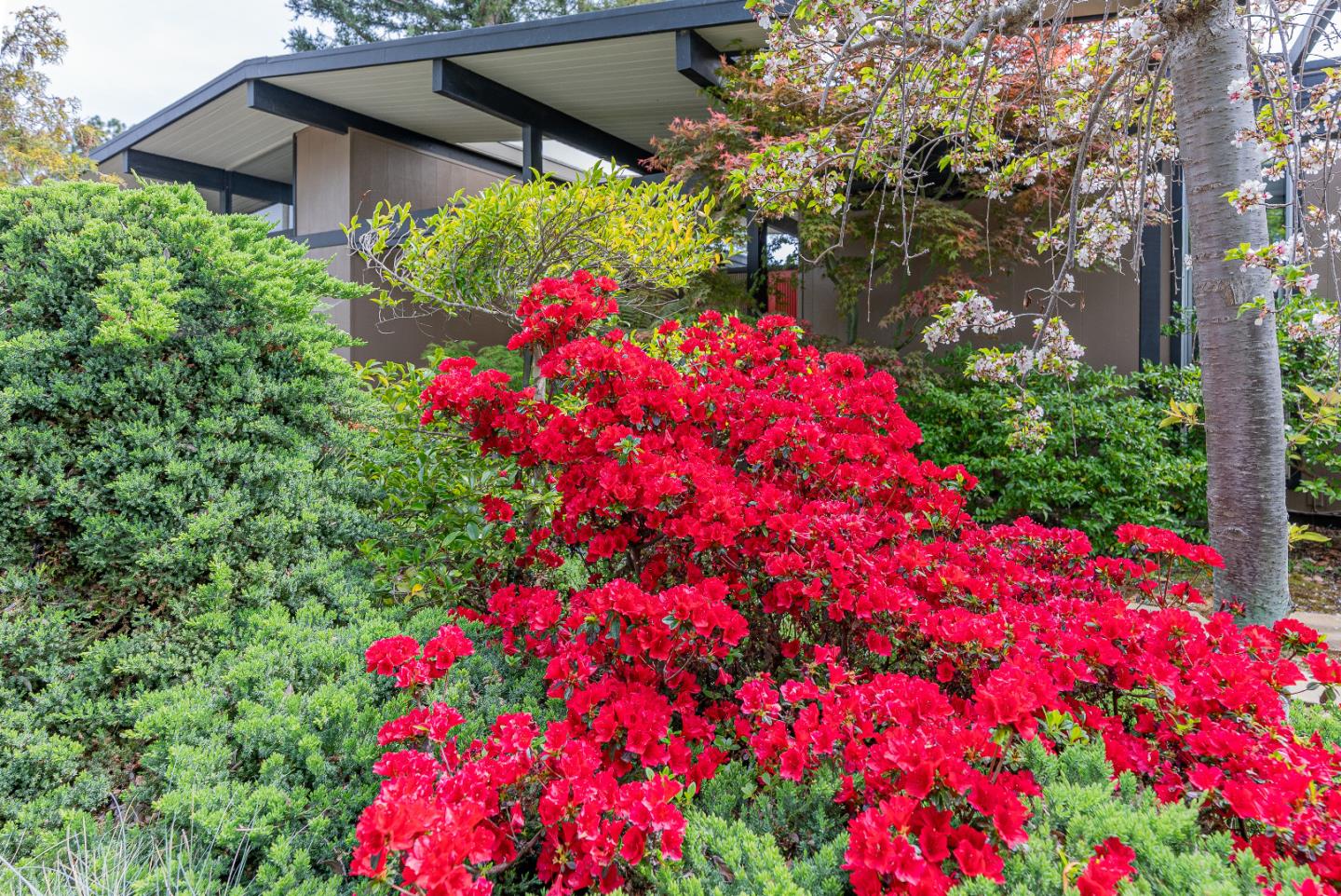 Detail Gallery Image 58 of 58 For 814 Beaverton Ct, Sunnyvale,  CA 94087 - 4 Beds | 2 Baths