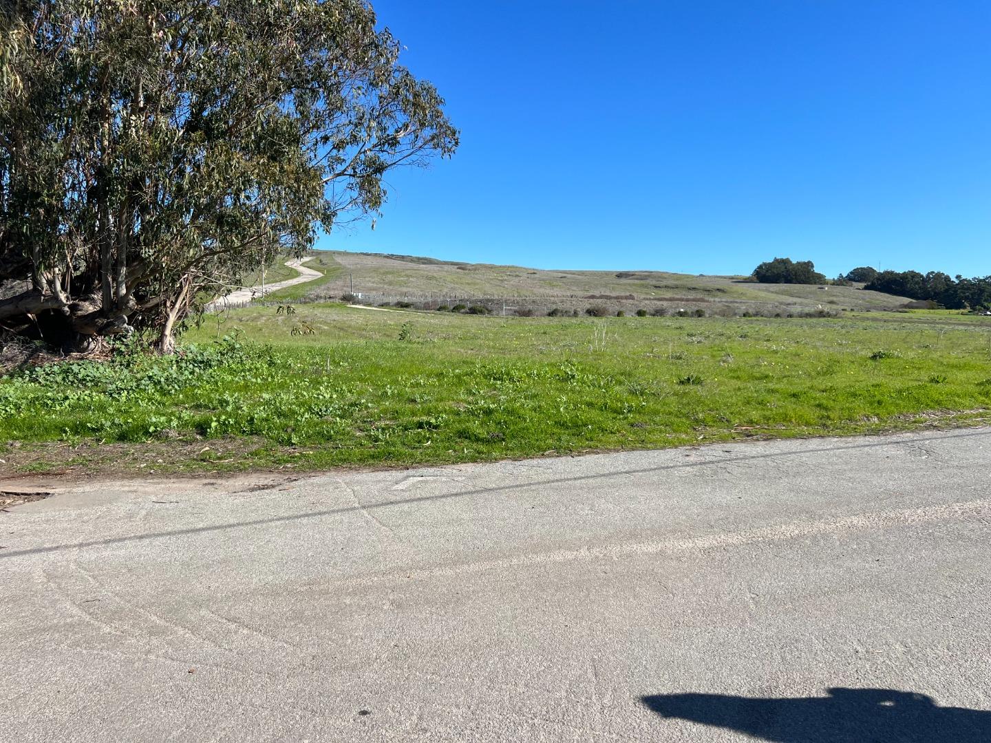 Detail Gallery Image 3 of 6 For 0 Cement Plant Rd, Davenport,  CA 95017 - – Beds | – Baths