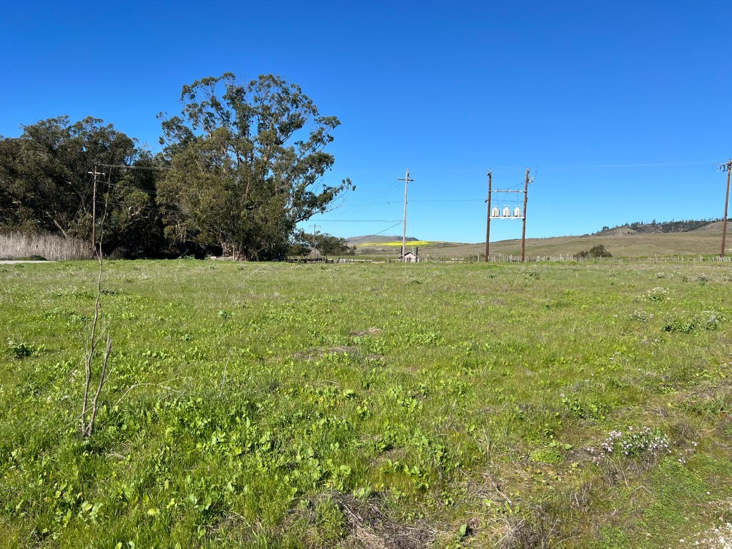 Detail Gallery Image 5 of 6 For 0 Cement Plant Rd, Davenport,  CA 95017 - – Beds | – Baths