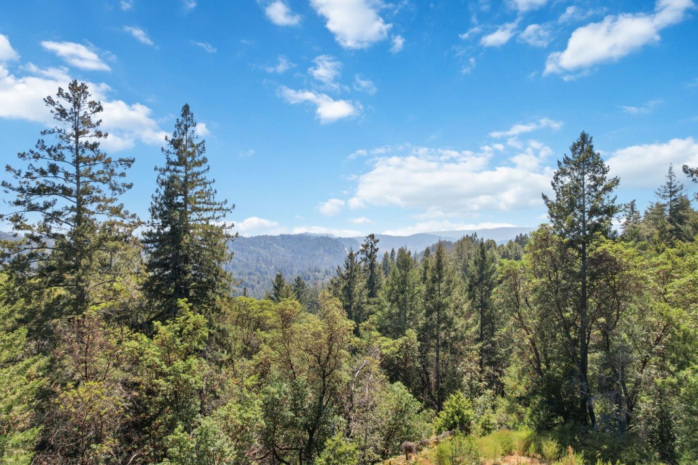 Detail Gallery Image 46 of 63 For 10200 West Dr, Felton,  CA 95018 - 4 Beds | 4/1 Baths
