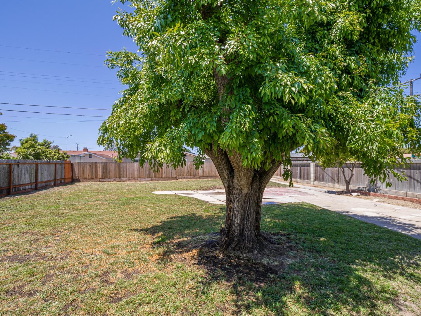 Detail Gallery Image 34 of 37 For 1233 Monroe St, Salinas,  CA 93906 - 3 Beds | 2 Baths