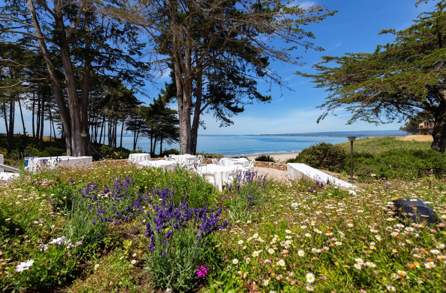 Detail Gallery Image 11 of 14 For 307 Seascape Resort Dr, Aptos,  CA 95003 - 1 Beds | 1 Baths