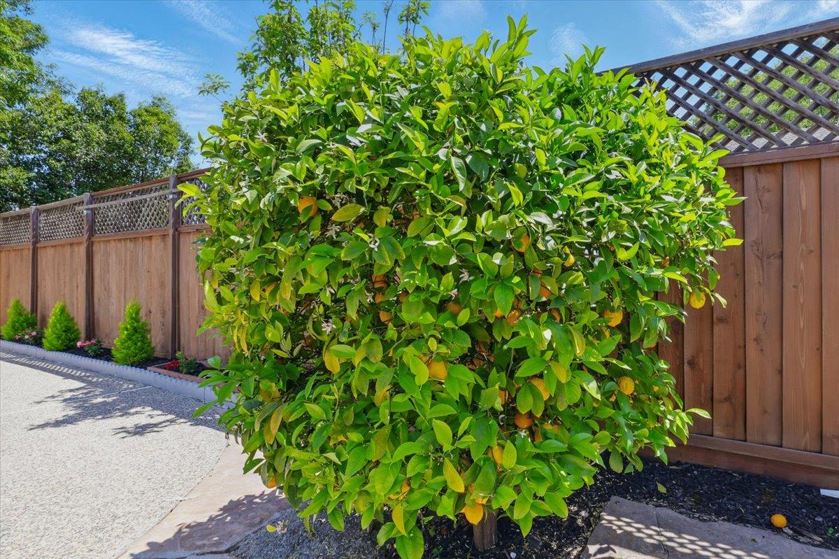 Detail Gallery Image 71 of 73 For 104 Cherry Blossom Dr, San Jose,  CA 95123 - 4 Beds | 2 Baths