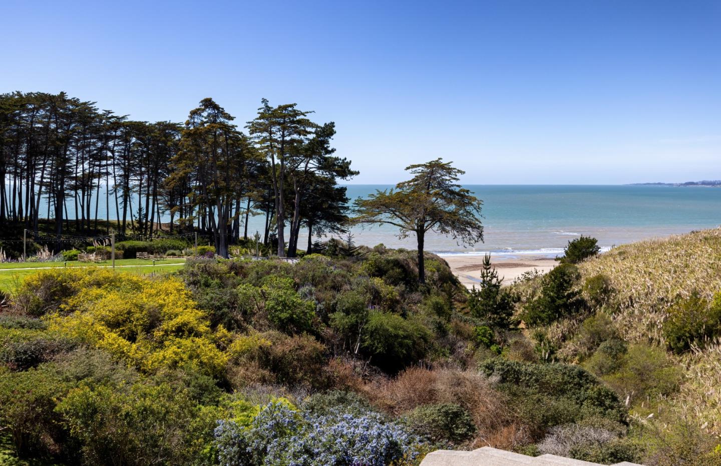 Detail Gallery Image 10 of 32 For 302 Seascape Resort Dr, Aptos,  CA 95003 - 1 Beds | 1 Baths