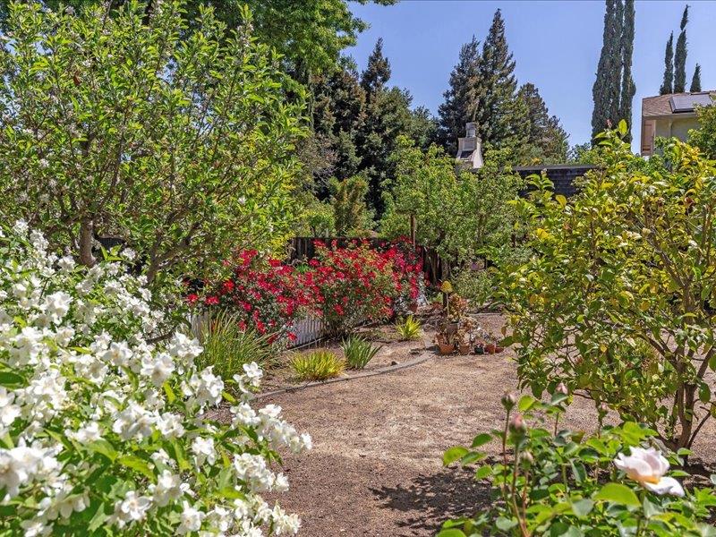 Detail Gallery Image 8 of 10 For 743 Edge Ln, Los Altos,  CA 94024 - 3 Beds | 2 Baths