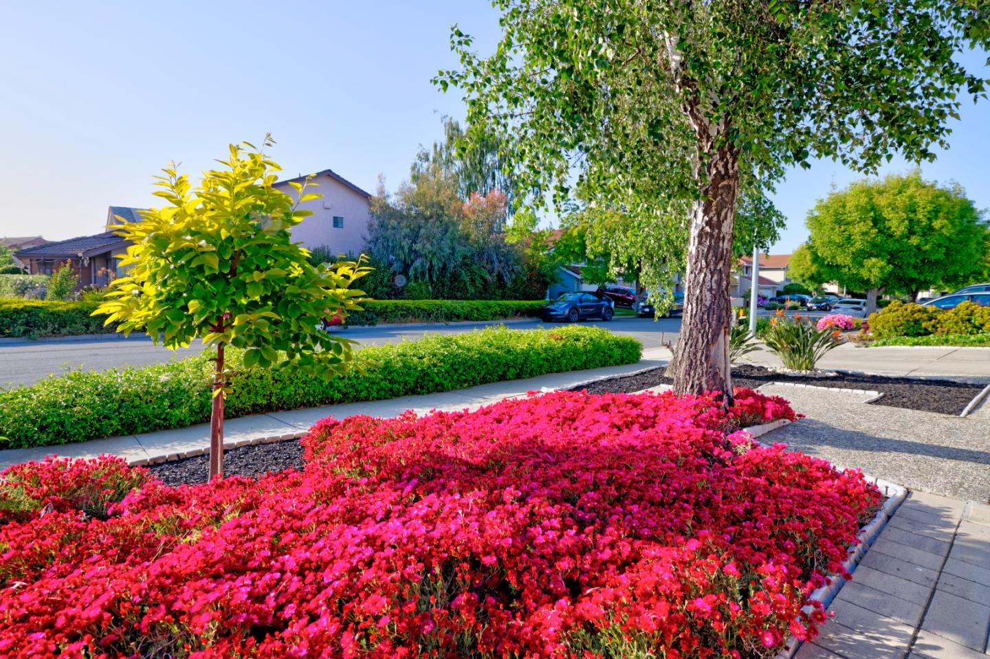 Detail Gallery Image 18 of 58 For 4330 Peregrine Way, Fremont,  CA 94555 - 5 Beds | 3 Baths