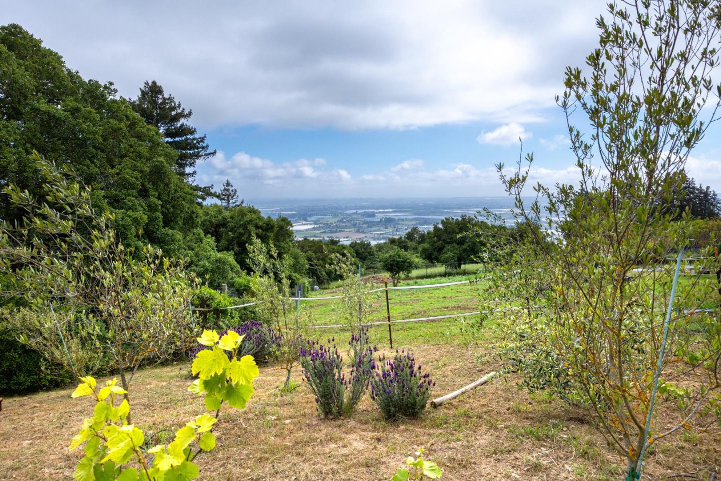 Detail Gallery Image 41 of 54 For 30 Pacific View Ter, Watsonville,  CA 95076 - 4 Beds | 2 Baths