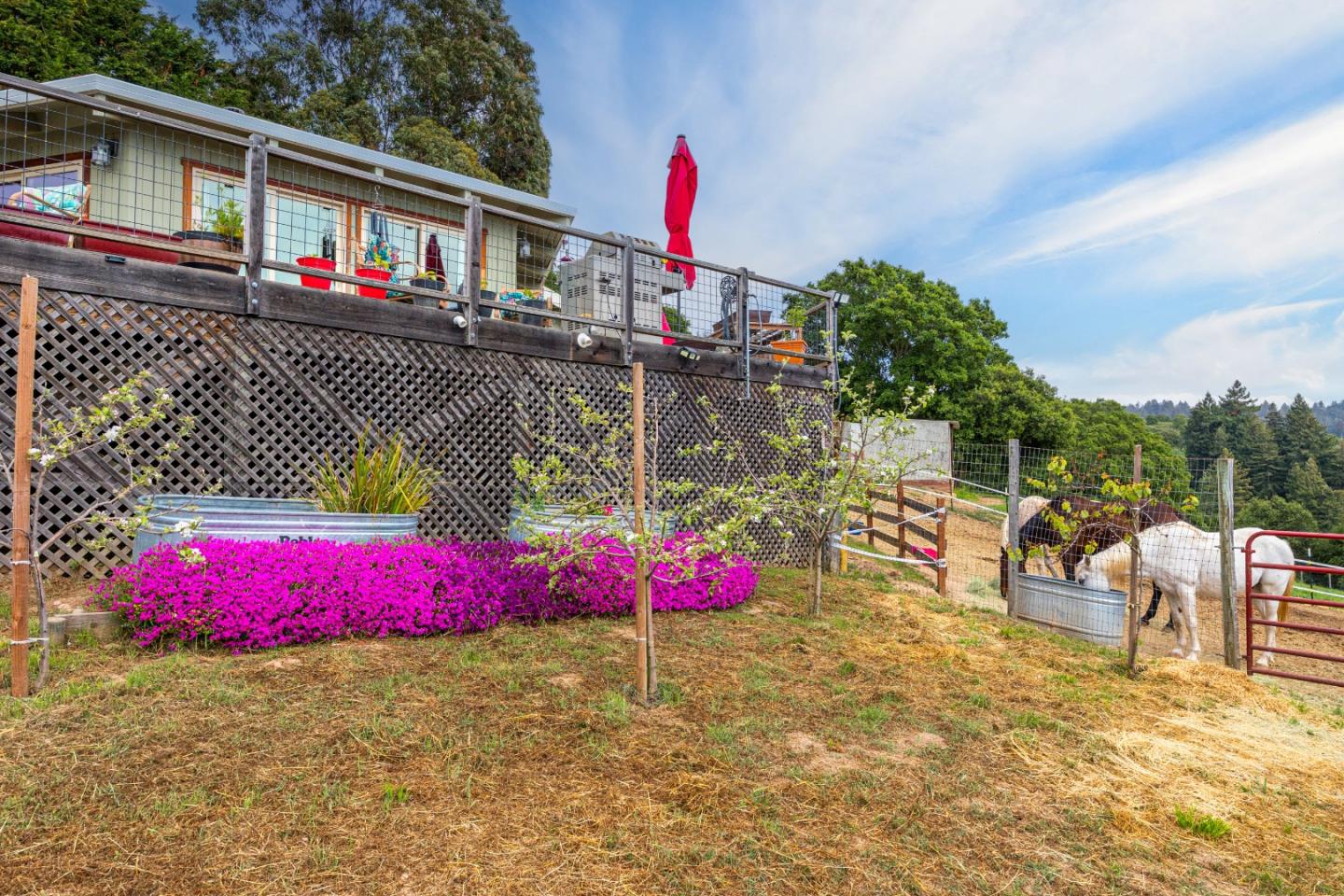 Detail Gallery Image 49 of 54 For 30 Pacific View Ter, Watsonville,  CA 95076 - 4 Beds | 2 Baths