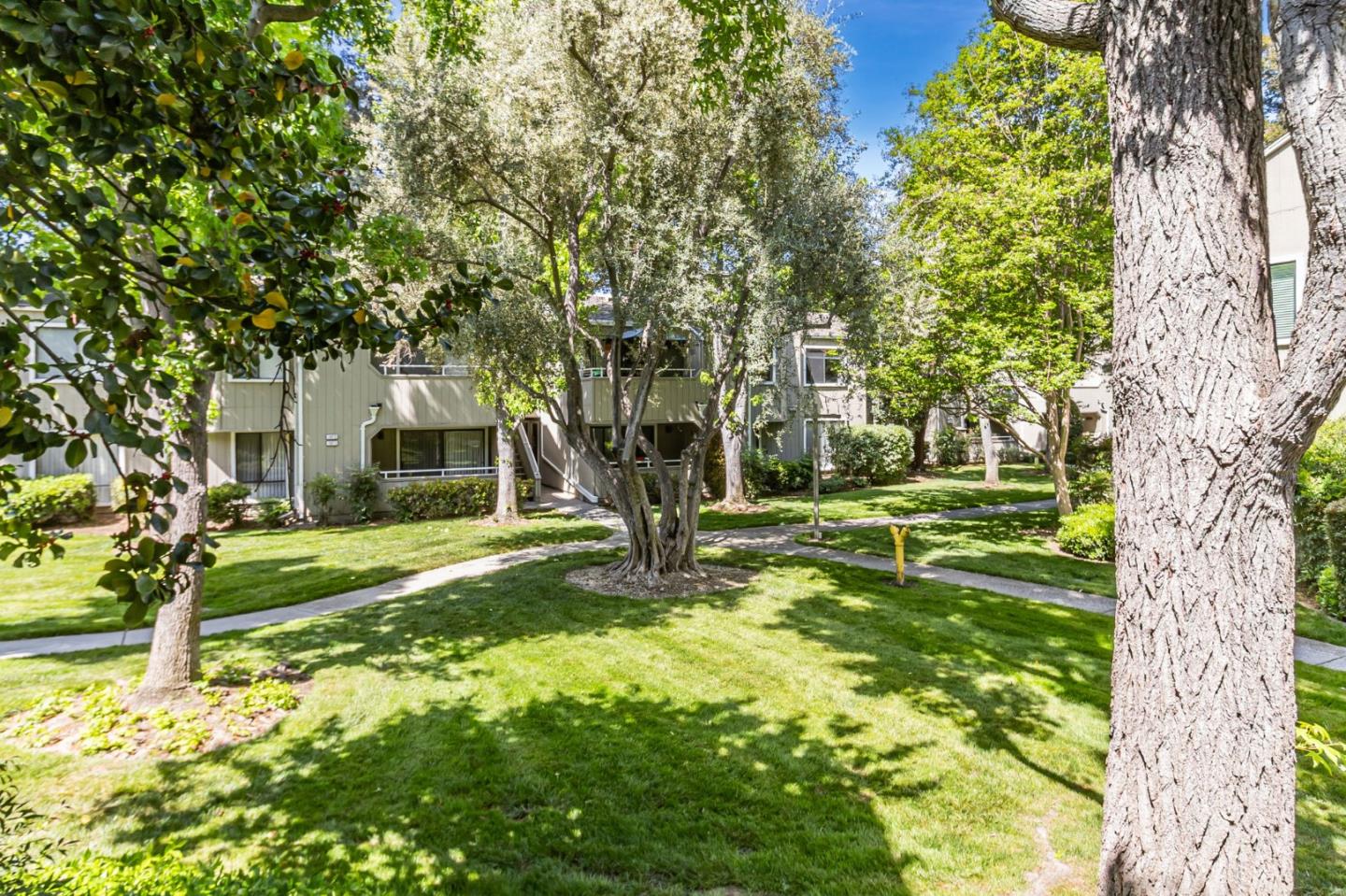 Detail Gallery Image 30 of 52 For 1763 Braddock Ct, San Jose,  CA 95125 - 2 Beds | 1 Baths