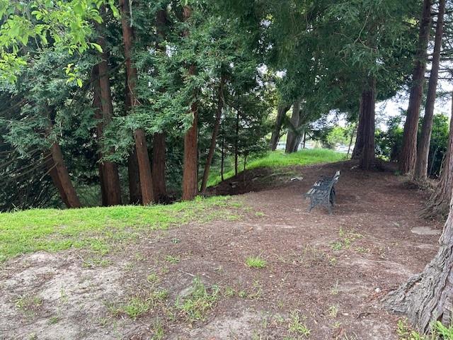 Detail Gallery Image 14 of 15 For 3757 Vienna Dr, Aptos,  CA 95003 - 4 Beds | 2 Baths