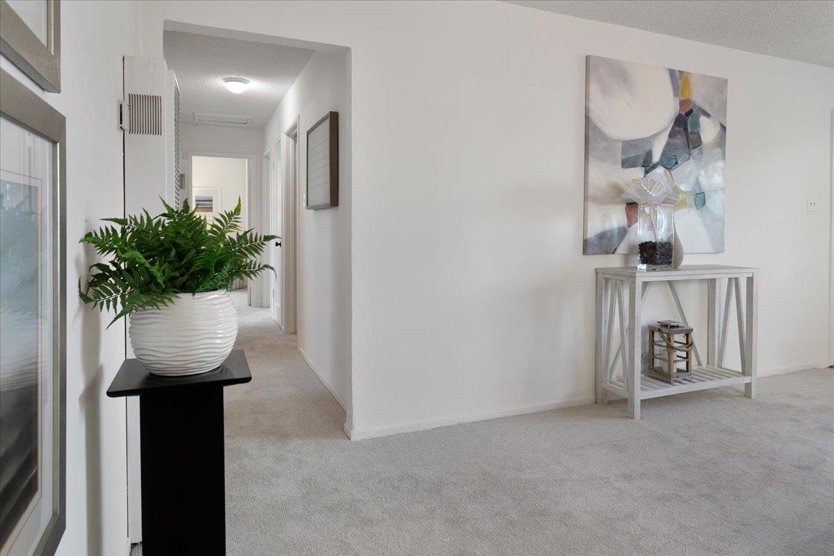 Detail Gallery Image 7 of 20 For 3164 Meridian Ave, San Jose,  CA 95124 - 4 Beds | 1 Baths