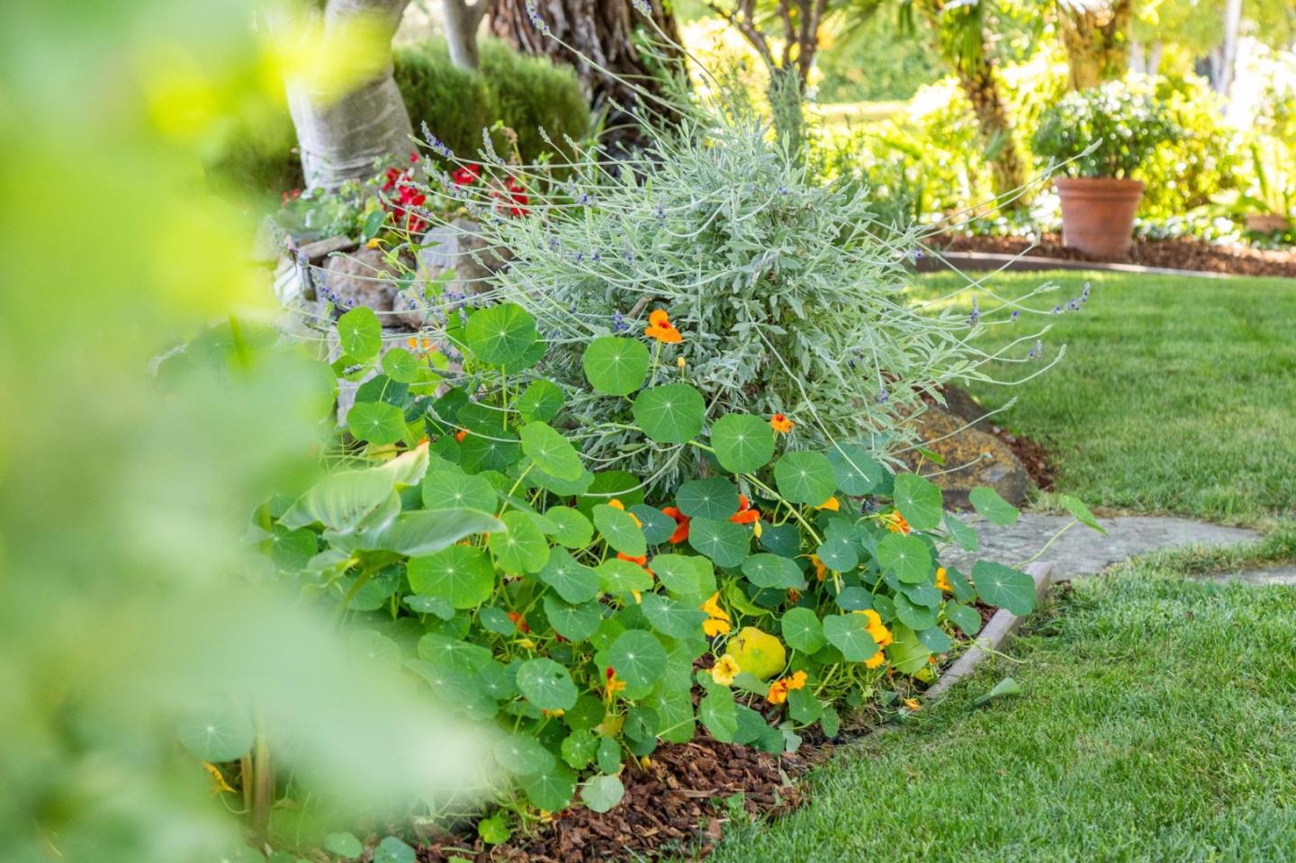 Detail Gallery Image 7 of 65 For 1275 Covington Rd, Los Altos,  CA 94024 - 4 Beds | 2 Baths
