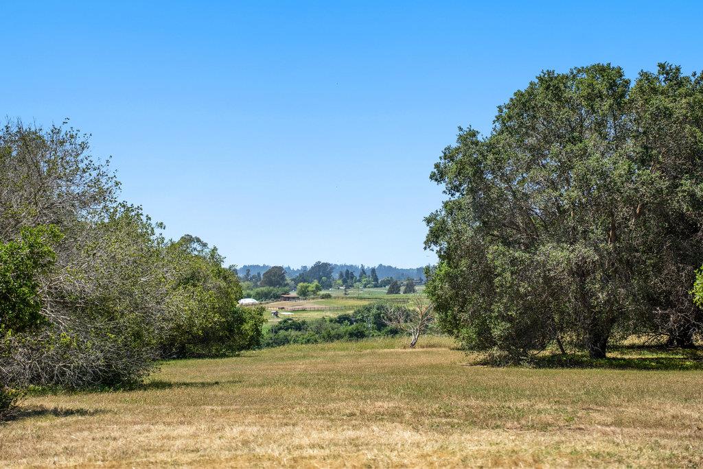 Detail Gallery Image 37 of 47 For 277 Wheelock Rd, Corralitos,  CA 95076 - 3 Beds | 2 Baths