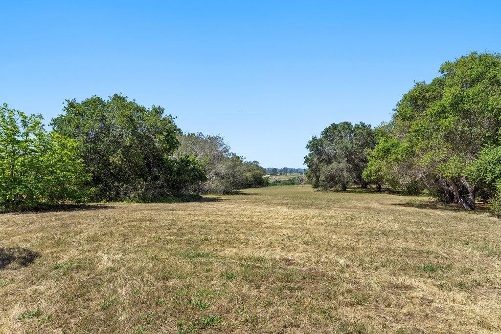 Detail Gallery Image 39 of 47 For 277 Wheelock Rd, Corralitos,  CA 95076 - 3 Beds | 2 Baths