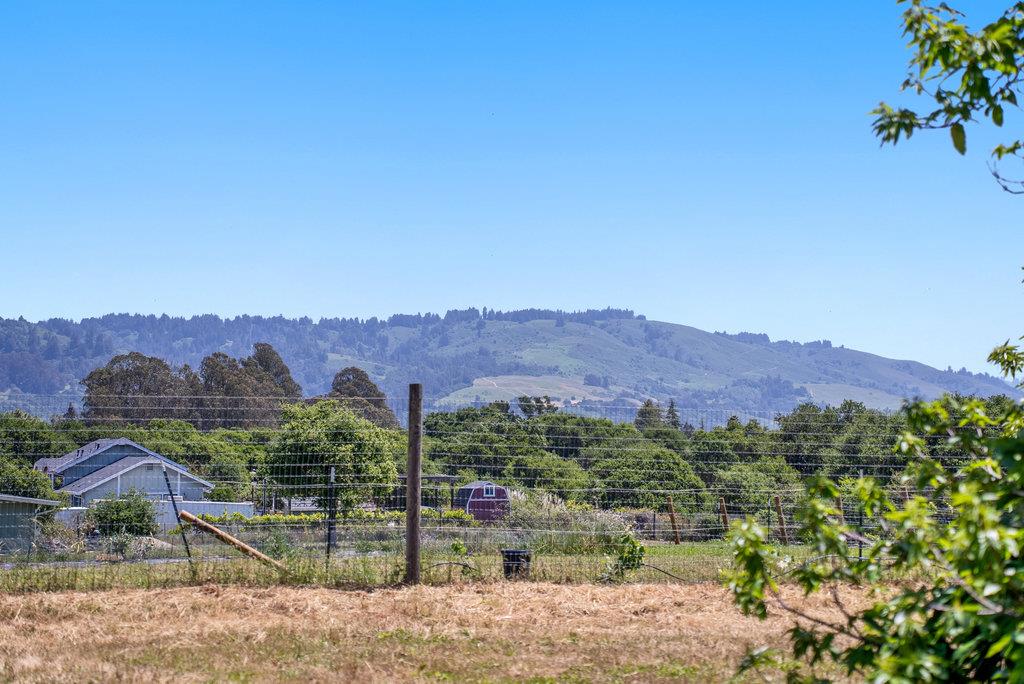 Detail Gallery Image 41 of 47 For 277 Wheelock Rd, Corralitos,  CA 95076 - 3 Beds | 2 Baths