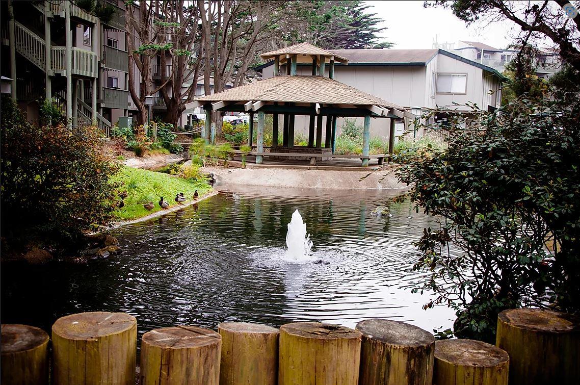 Detail Gallery Image 35 of 42 For 355 Half Moon Ln #9,  Daly City,  CA 94015 - 1 Beds | 1 Baths