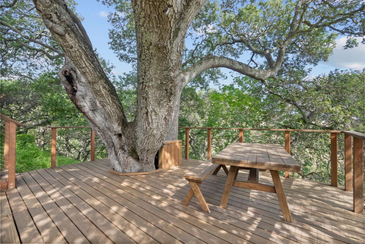 Detail Gallery Image 28 of 62 For 1217 Greenbrier Rd, San Carlos,  CA 94070 - 3 Beds | 2 Baths