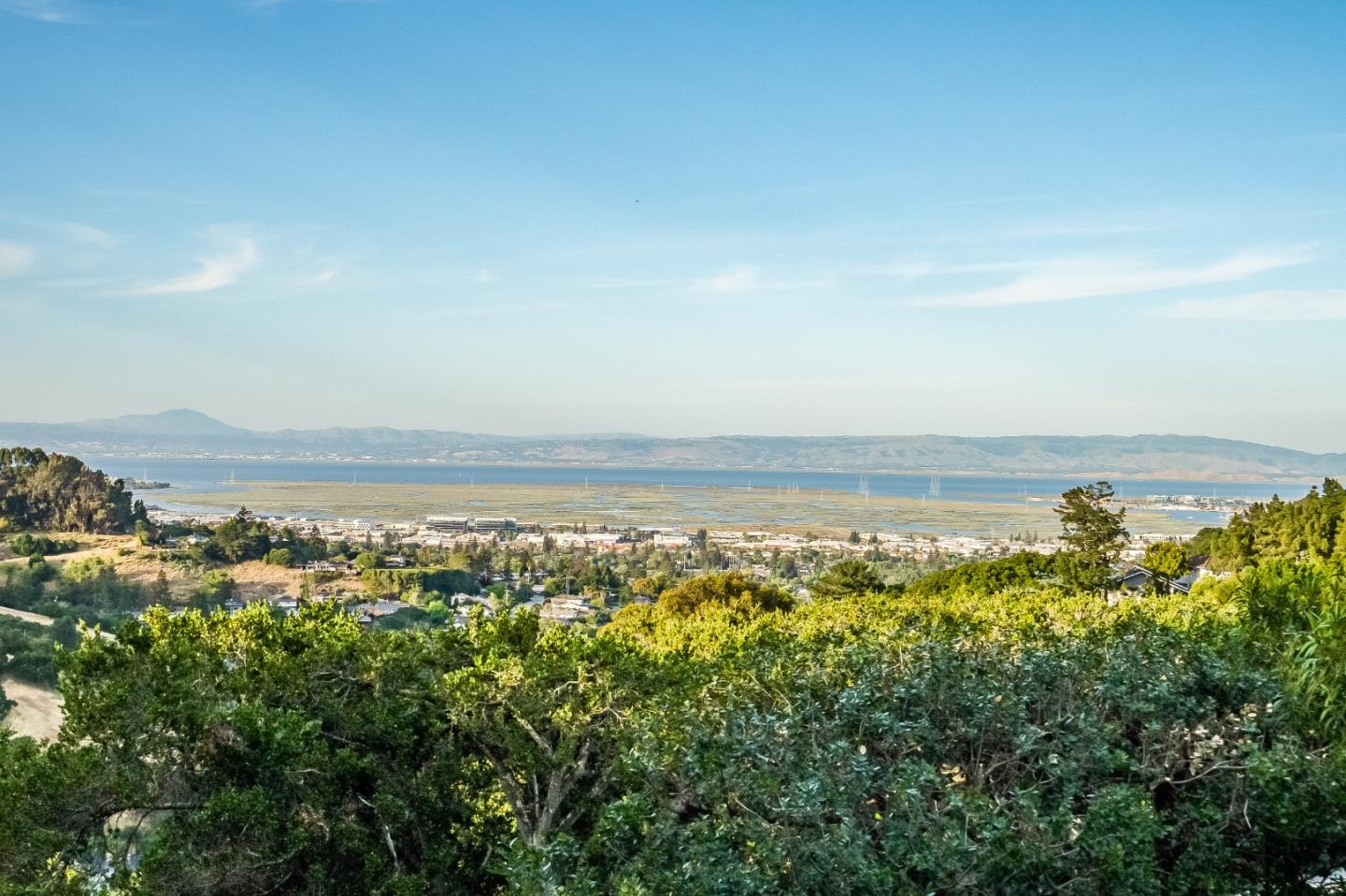 Detail Gallery Image 3 of 62 For 1217 Greenbrier Rd, San Carlos,  CA 94070 - 3 Beds | 2 Baths