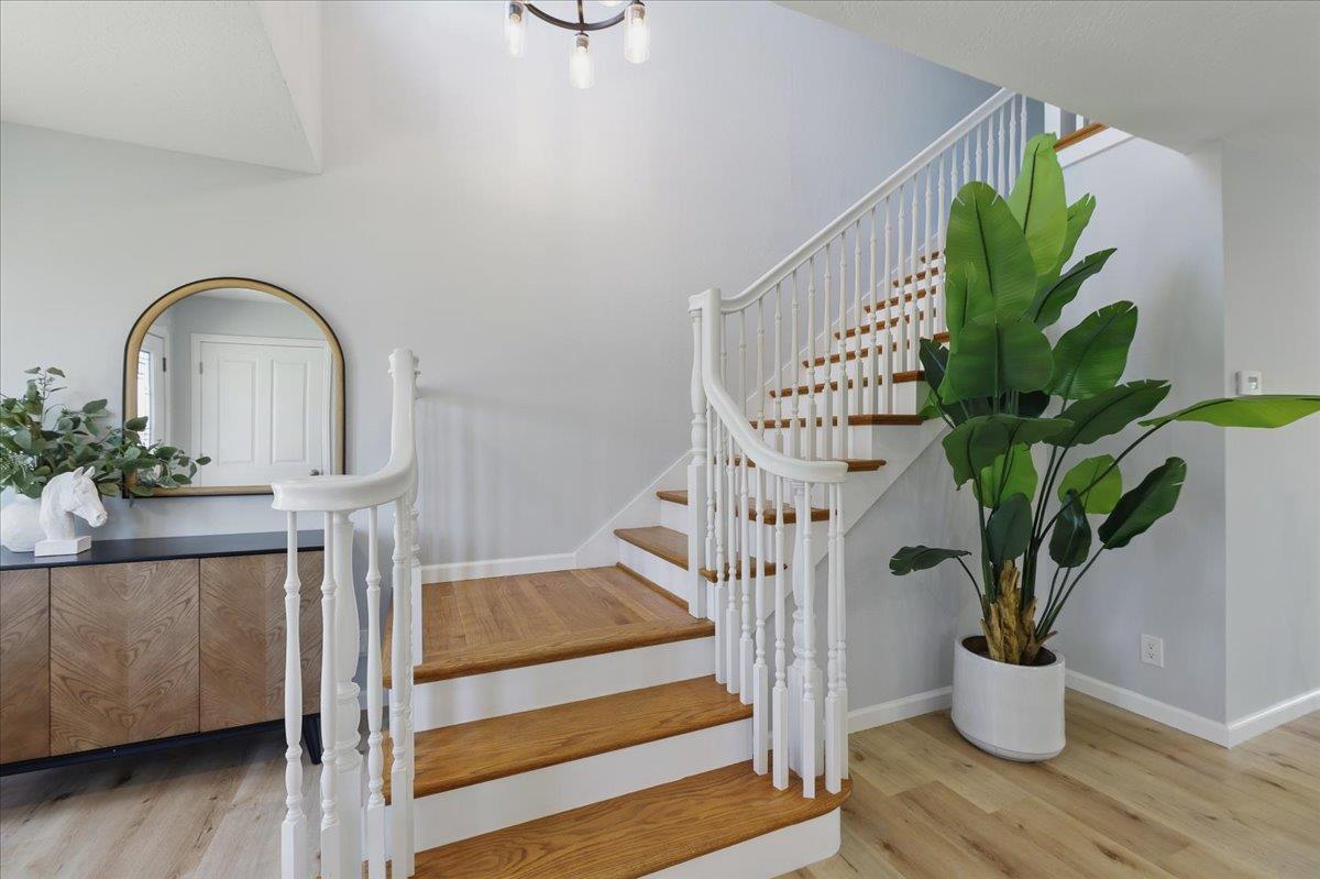Detail Gallery Image 21 of 55 For 2434 Hastings Dr, Belmont,  CA 94002 - 3 Beds | 2/1 Baths