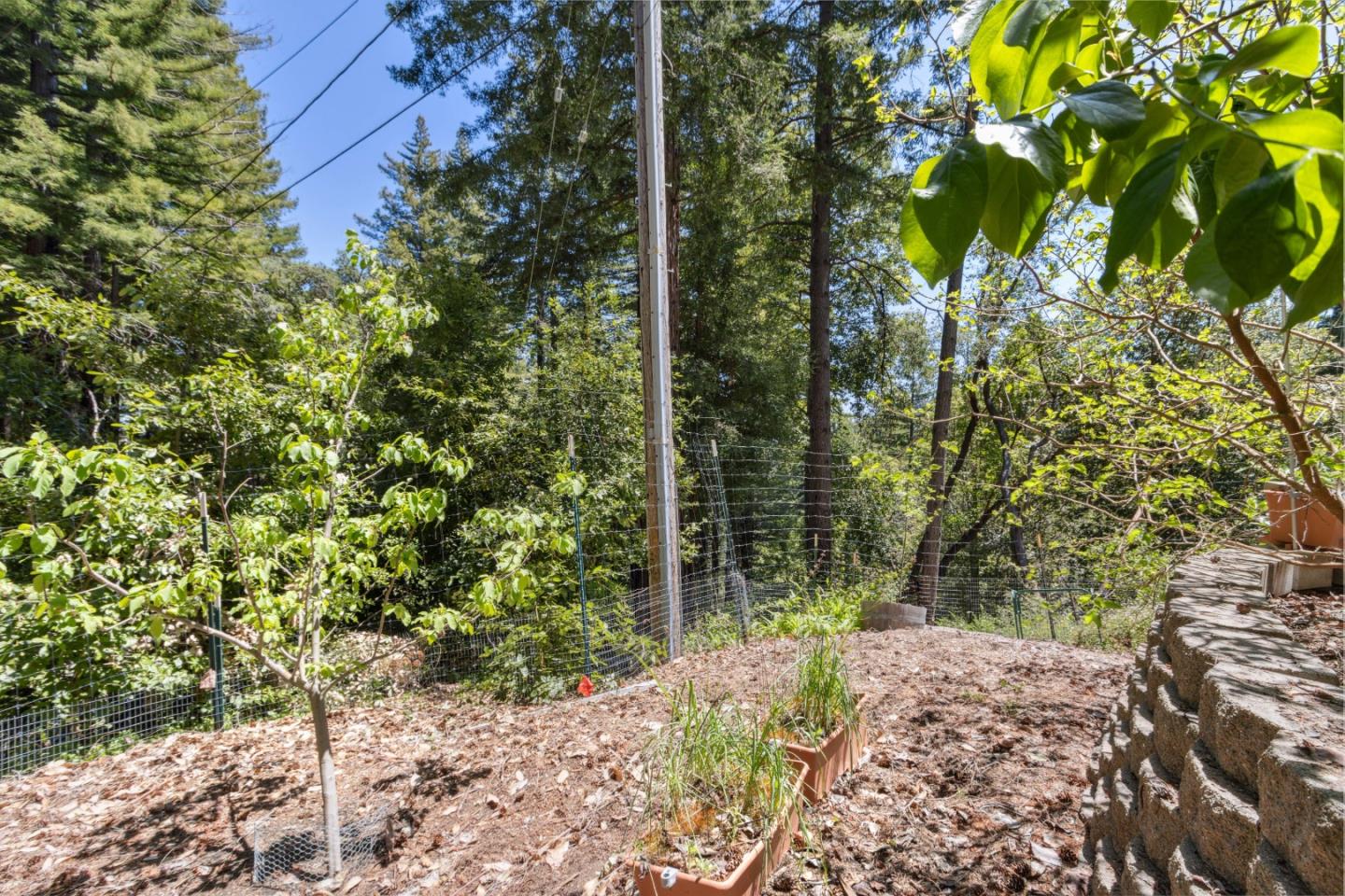 Detail Gallery Image 32 of 52 For 310 Sunny Patch Ln, Ben Lomond,  CA 95005 - 1 Beds | 1 Baths