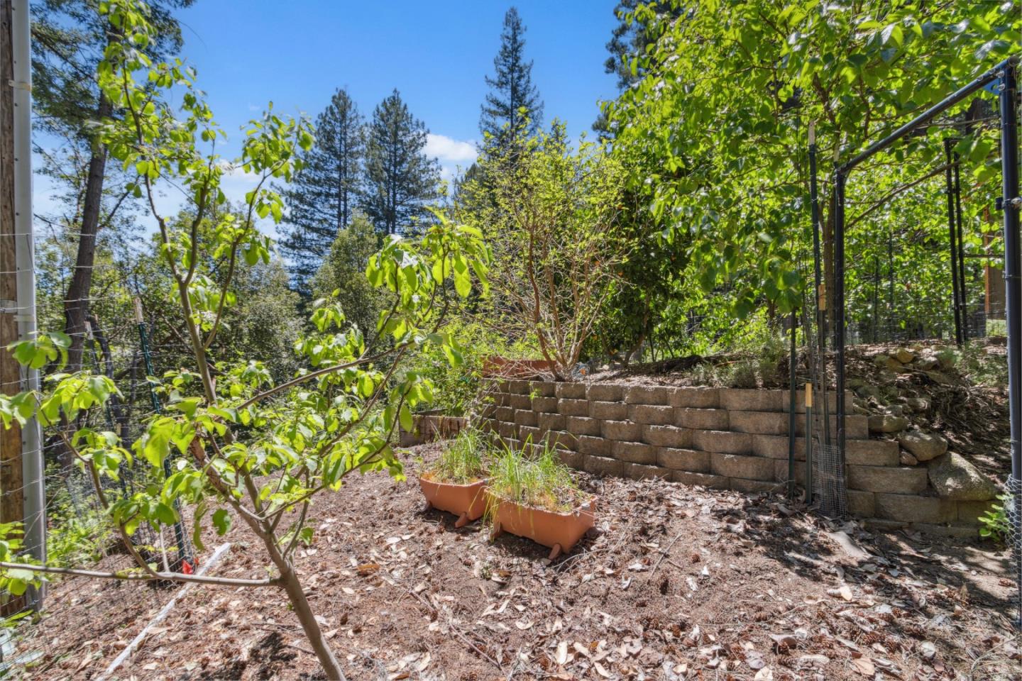 Detail Gallery Image 33 of 52 For 310 Sunny Patch Ln, Ben Lomond,  CA 95005 - 1 Beds | 1 Baths