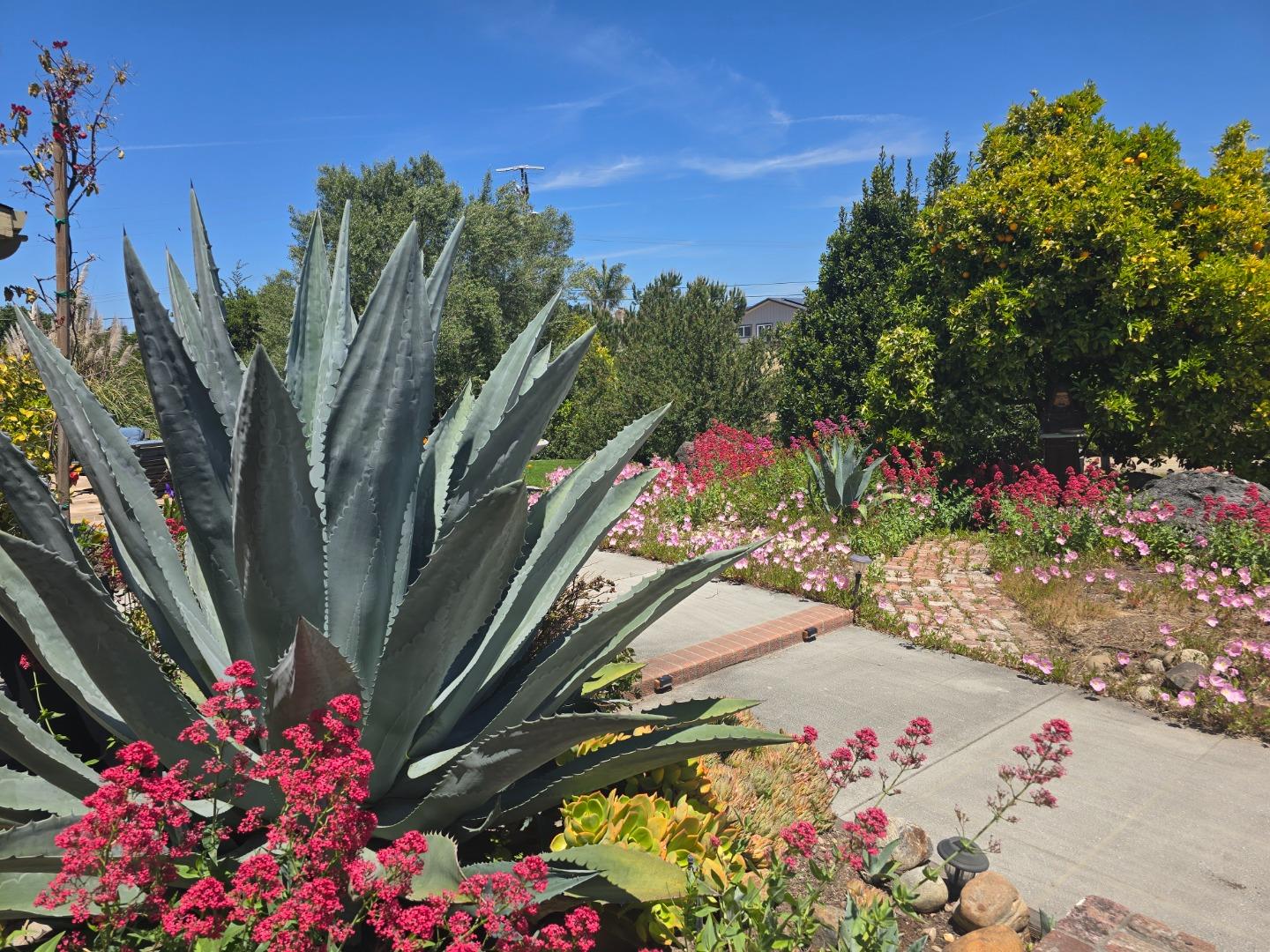 Detail Gallery Image 53 of 62 For 2 Mesa Del Sol, Salinas,  CA 93908 - 3 Beds | 3 Baths