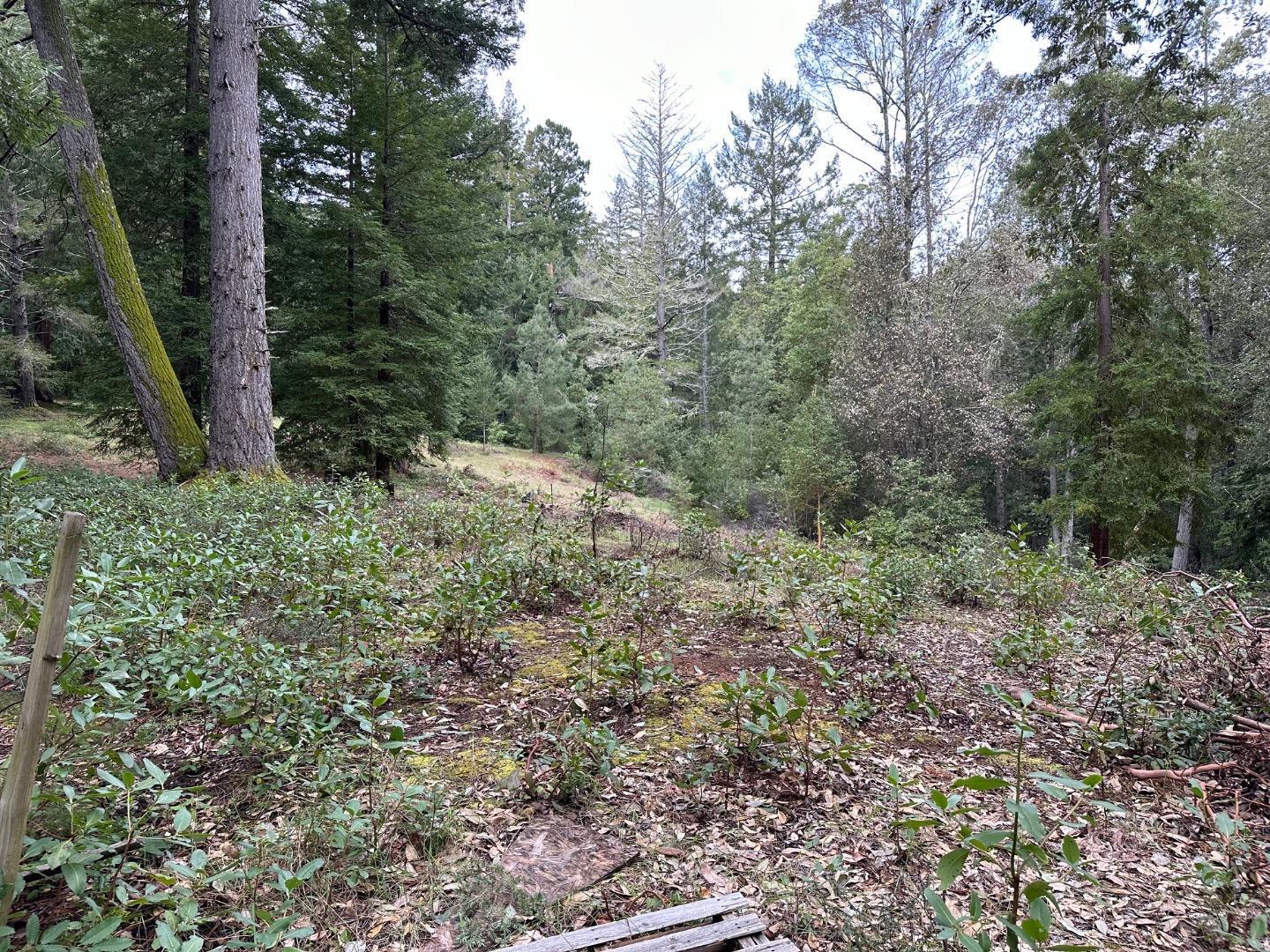 Detail Gallery Image 10 of 20 For 0 Eureka Canyon Rd, Watsonville,  CA 95076 - – Beds | – Baths