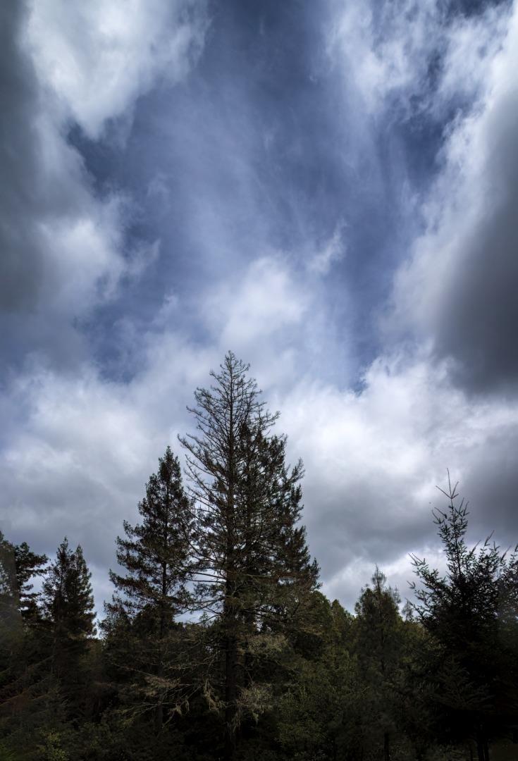 Detail Gallery Image 20 of 20 For 0 Eureka Canyon Rd, Watsonville,  CA 95076 - – Beds | – Baths