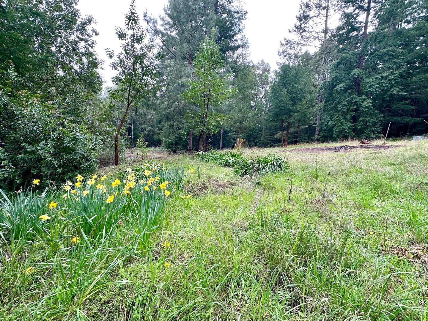 Detail Gallery Image 3 of 20 For 0 Eureka Canyon Rd, Watsonville,  CA 95076 - – Beds | – Baths