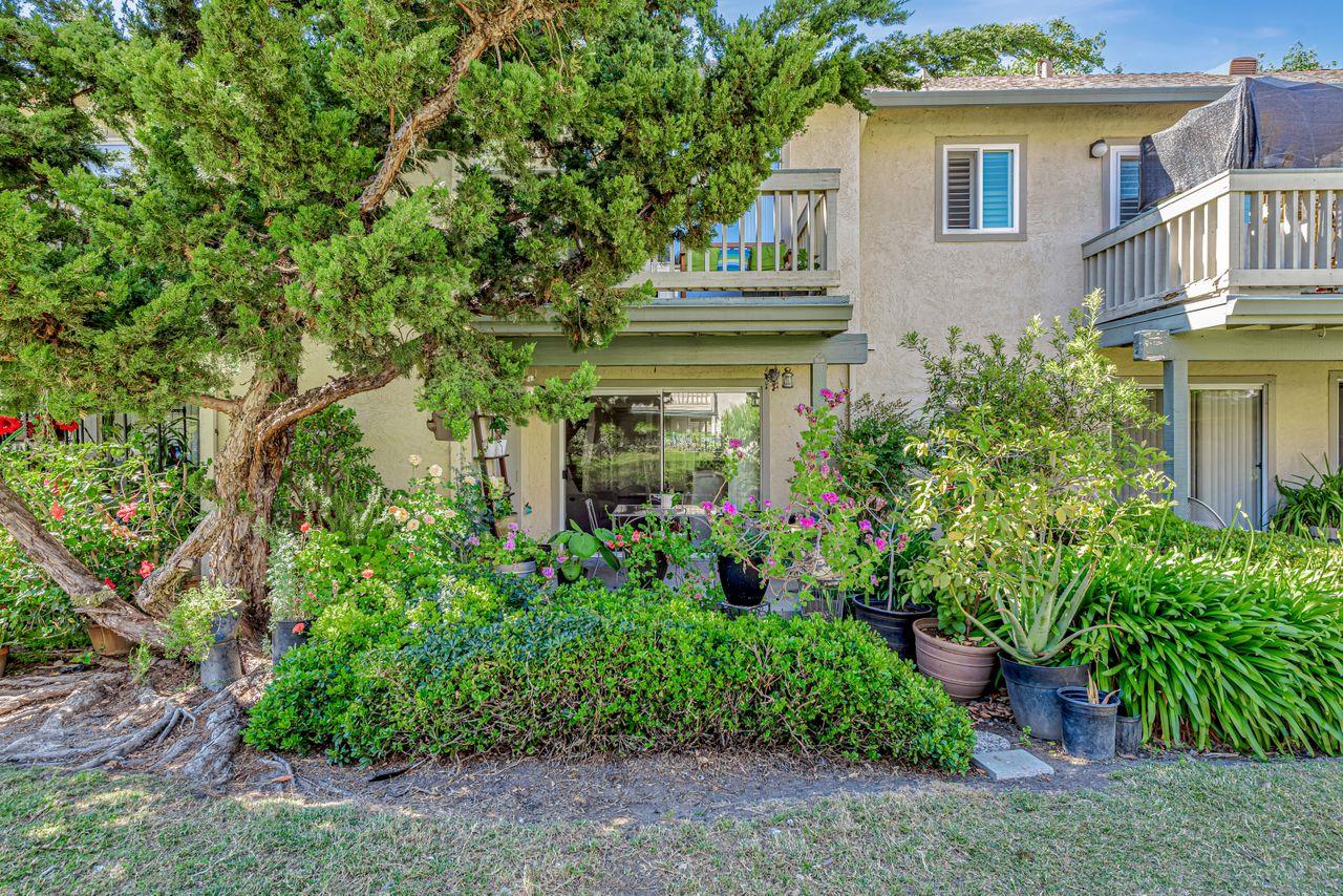 Detail Gallery Image 34 of 40 For 1046 Summerplace Dr, San Jose,  CA 95122 - 1 Beds | 1/1 Baths