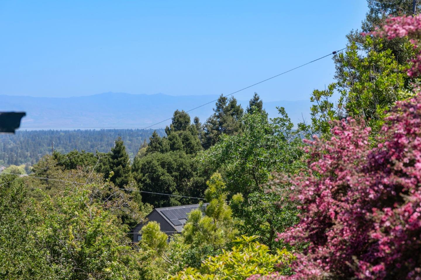Detail Gallery Image 75 of 111 For 3554 Oak Knoll Dr, Redwood City,  CA 94062 - 3 Beds | 2/1 Baths